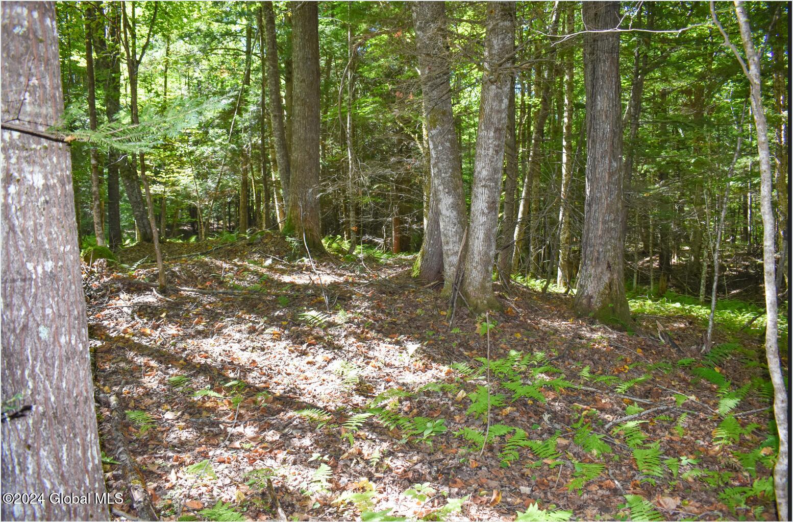 82 Carriage Knoll Road Chestertown NY 12817
