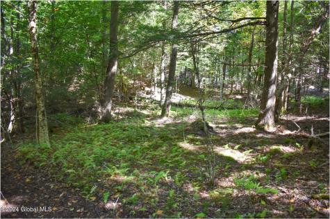 82 Carriage Knoll Road Chestertown NY 12817