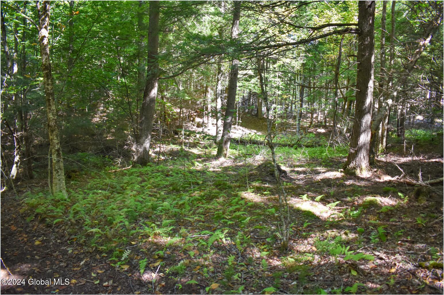 82 Carriage Knoll Road Chestertown NY 12817