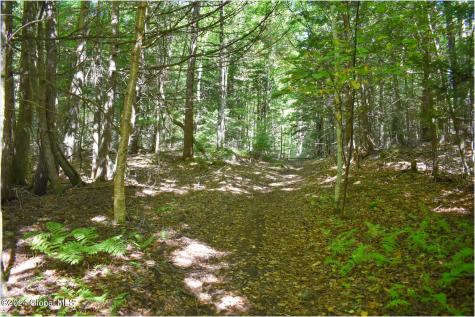 82 Carriage Knoll Road Chestertown NY 12817