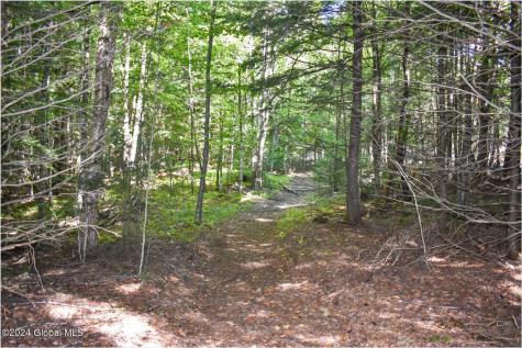 82 Carriage Knoll Road Chestertown NY 12817