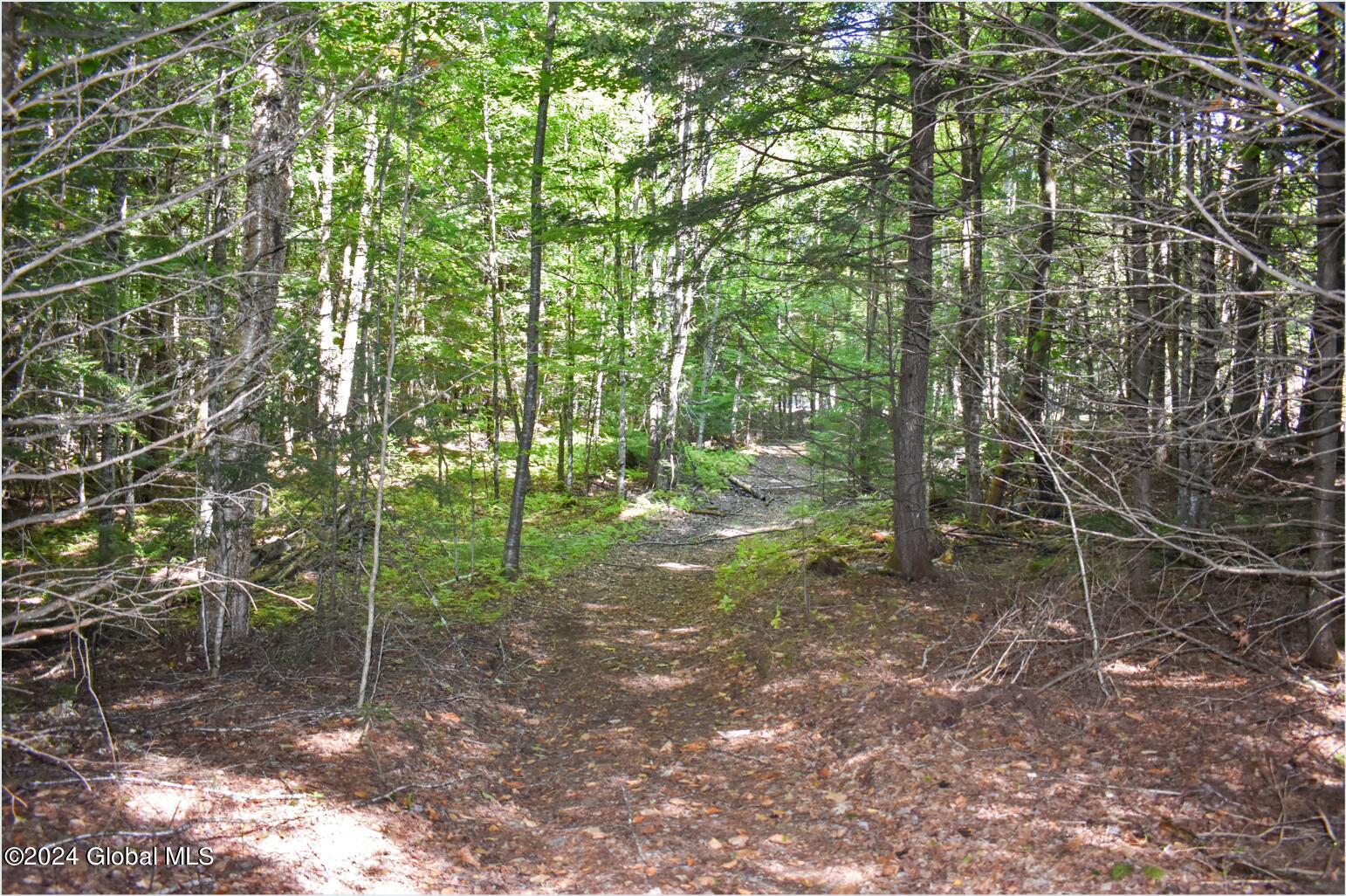 82 Carriage Knoll Road Chestertown NY 12817