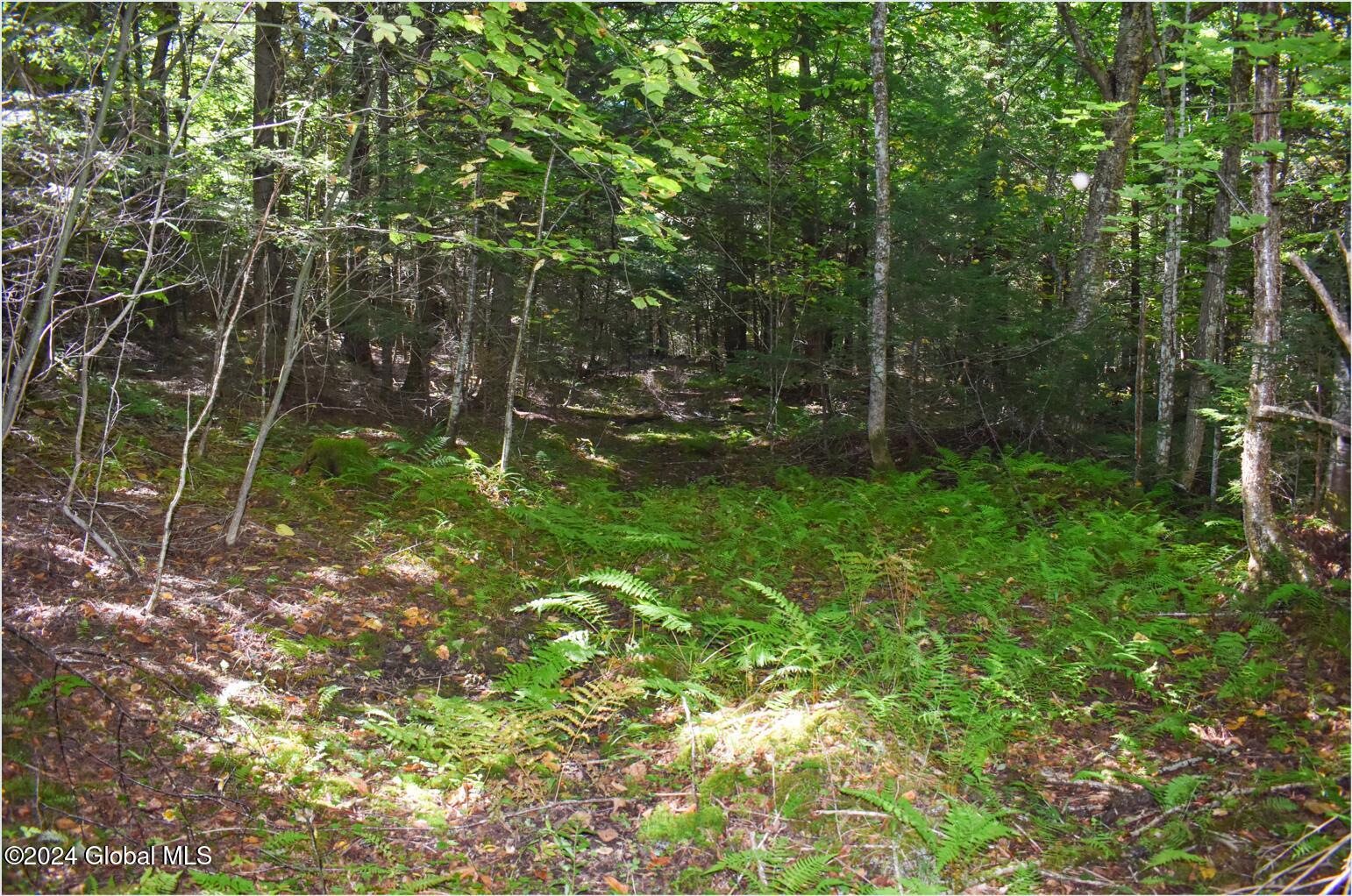82 Carriage Knoll Road Chestertown NY 12817