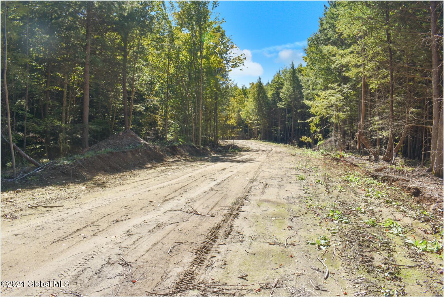 82 Carriage Knoll Road Chestertown NY 12817