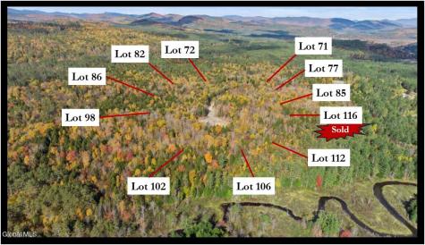 82 Carriage Knoll Road Chestertown NY 12817