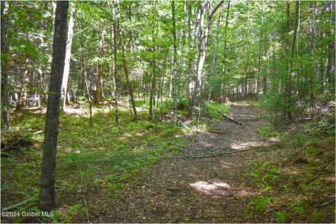 82 Carriage Knoll Road Chestertown NY 12817