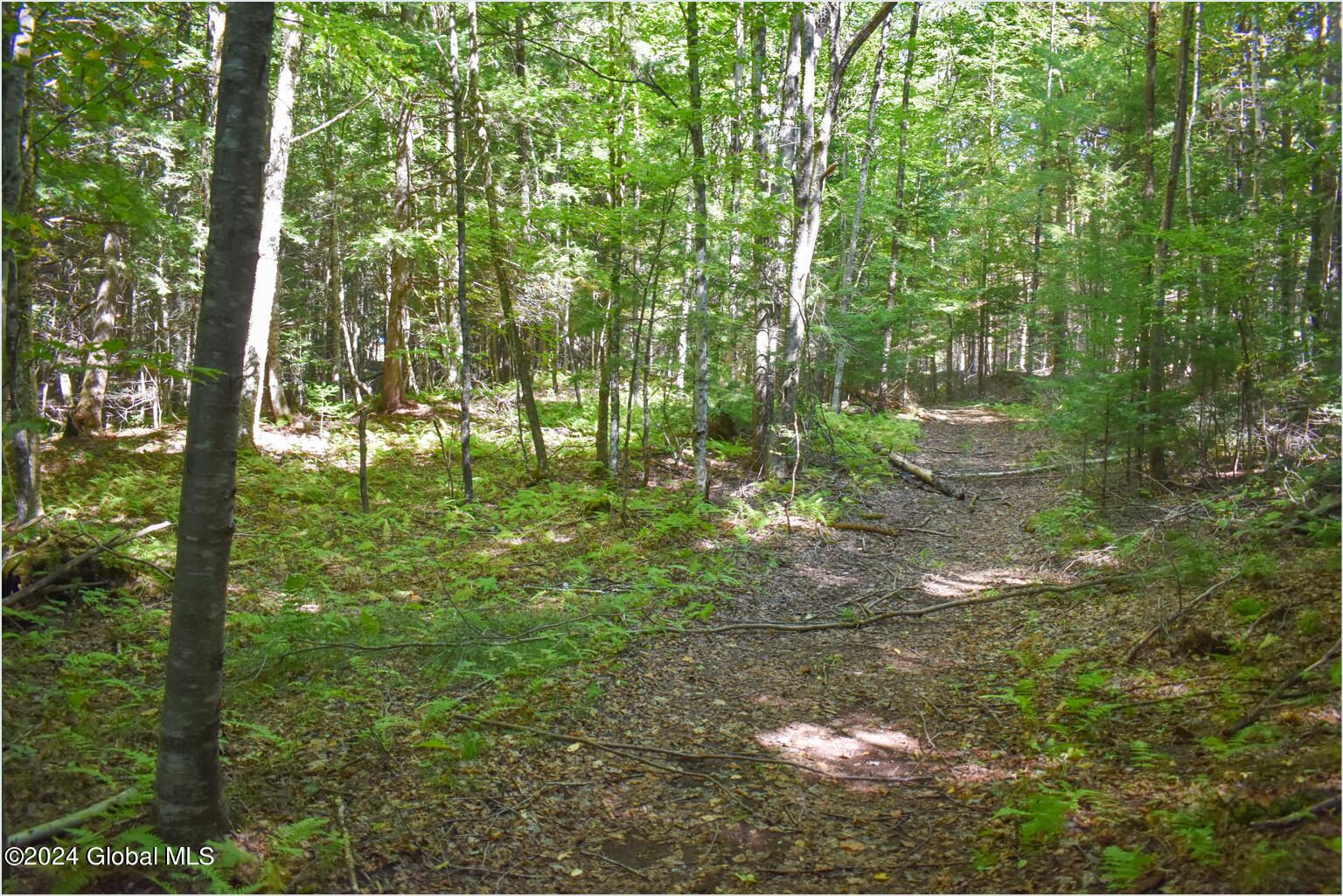82 Carriage Knoll Road Chestertown NY 12817