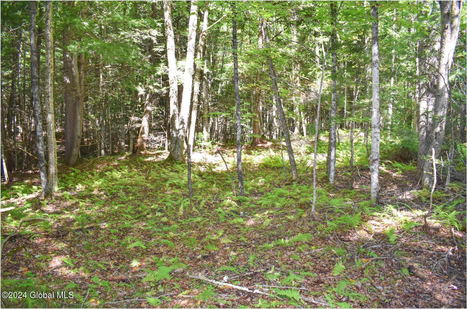 82 Carriage Knoll Road Chestertown NY 12817