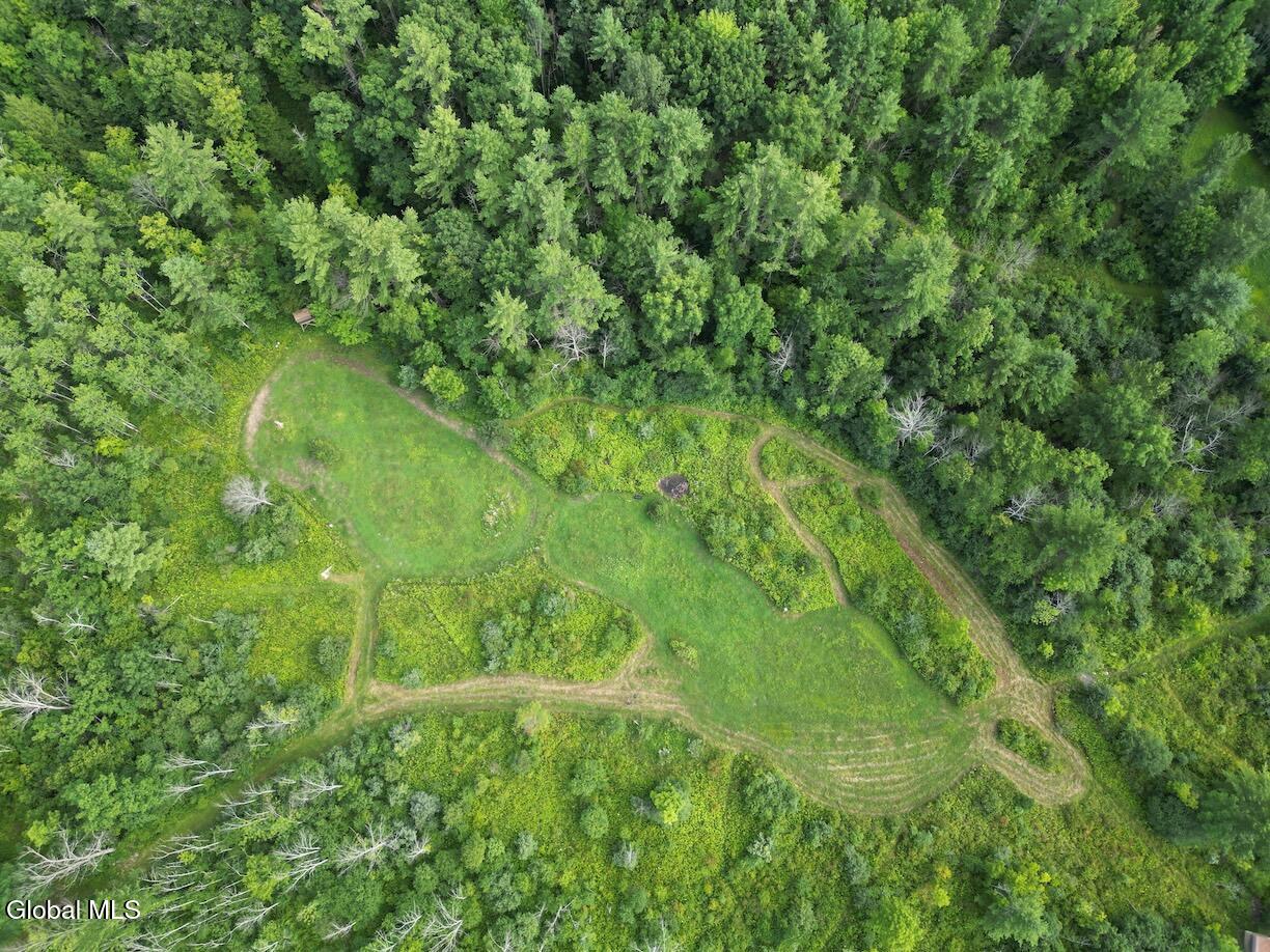 418 Saddlemire Hill Road Carlisle NY 12160