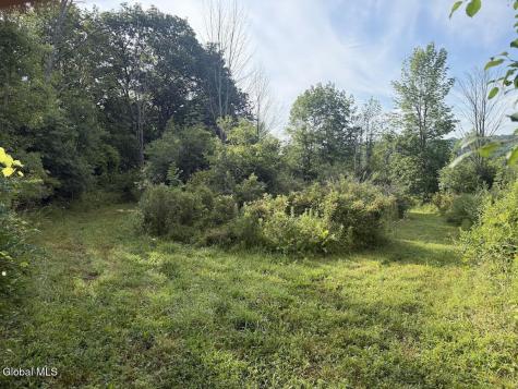 418 Saddlemire Hill Road Carlisle NY 12160