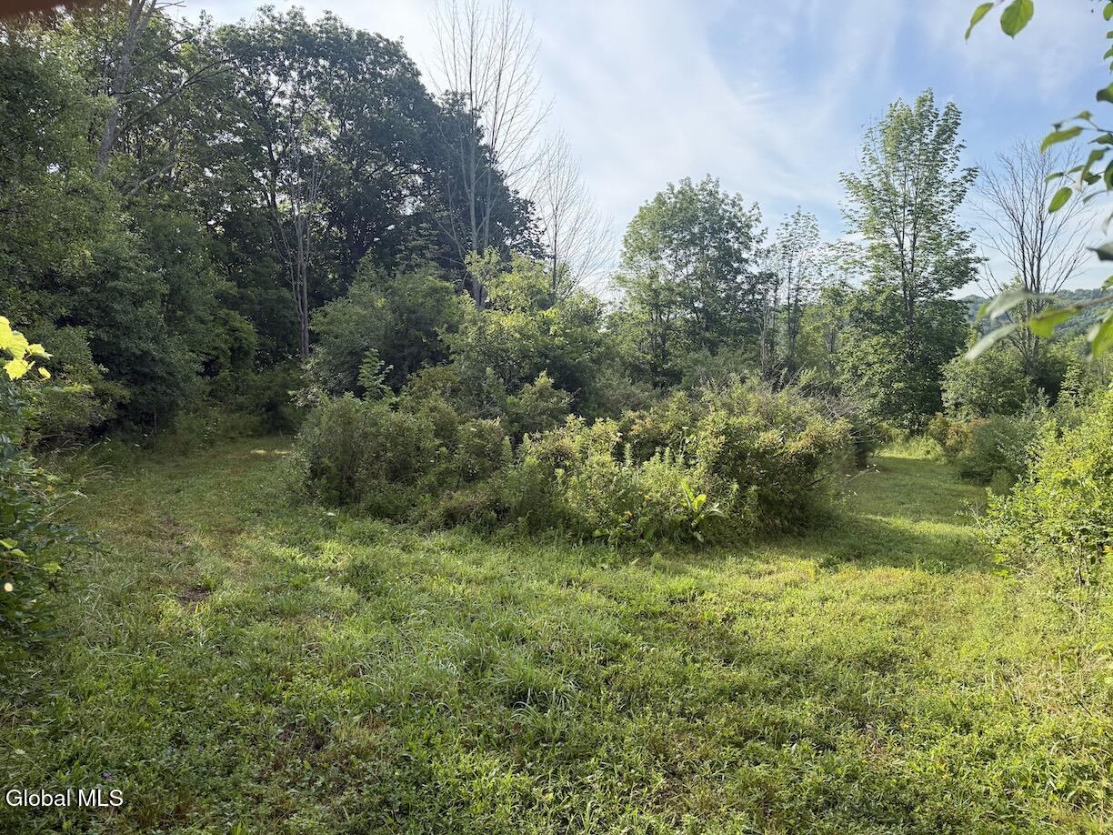 418 Saddlemire Hill Road Carlisle NY 12160