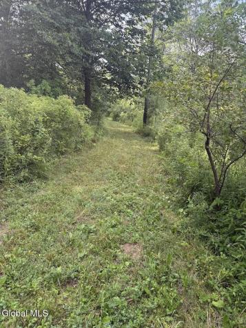 418 Saddlemire Hill Road Carlisle NY 12160