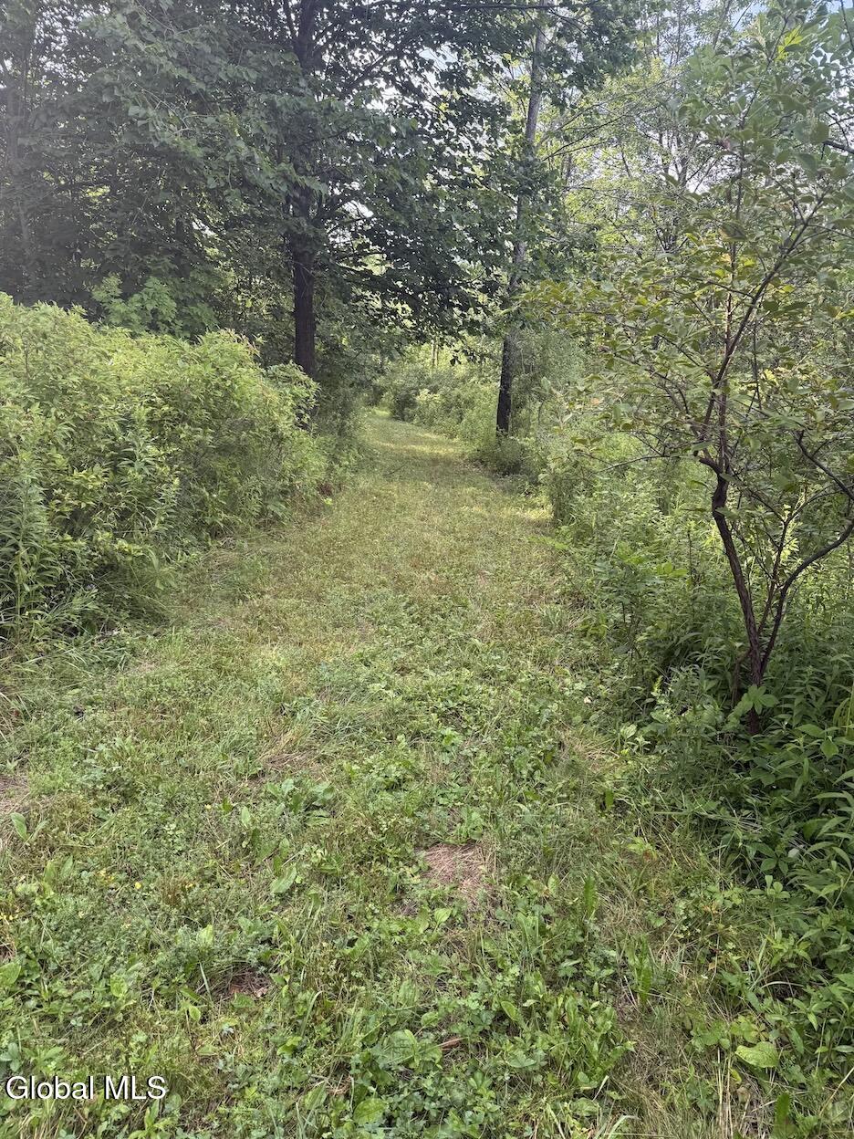 418 Saddlemire Hill Road Carlisle NY 12160