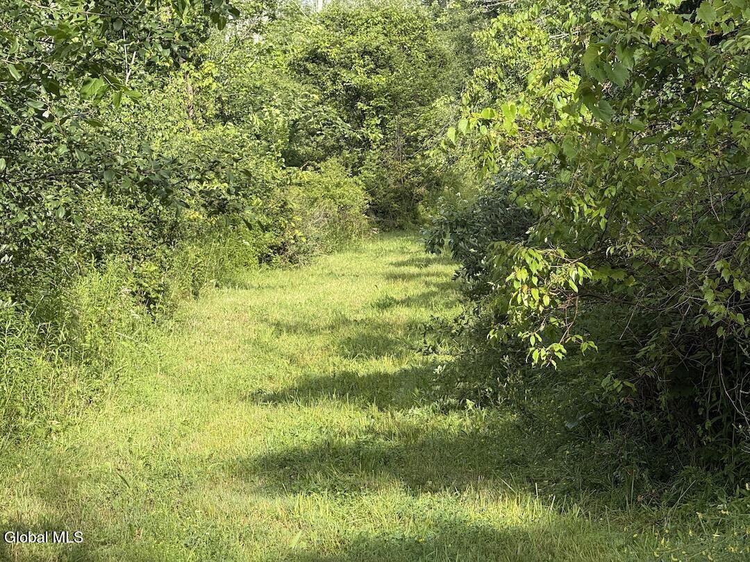418 Saddlemire Hill Road Carlisle NY 12160