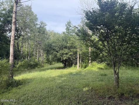 418 Saddlemire Hill Road Carlisle NY 12160