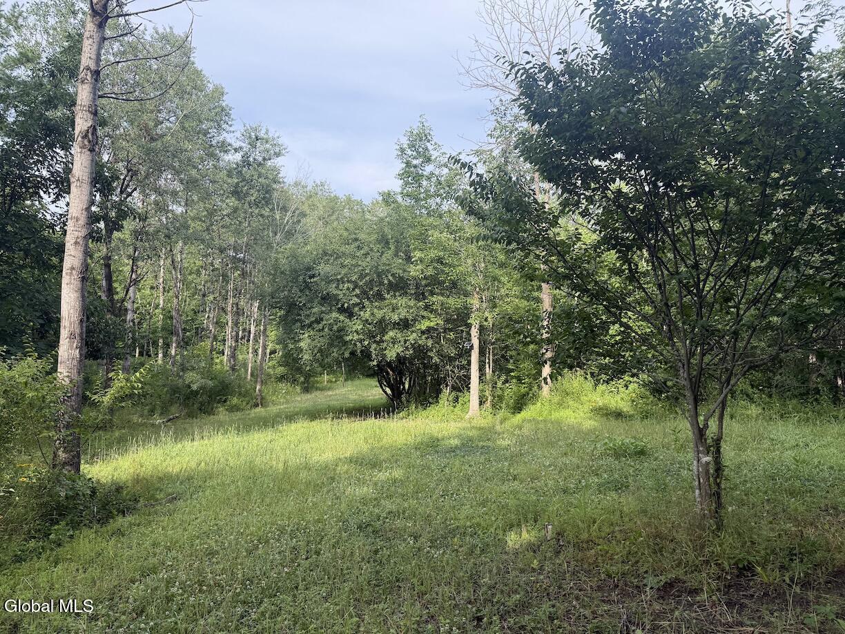 418 Saddlemire Hill Road Carlisle NY 12160