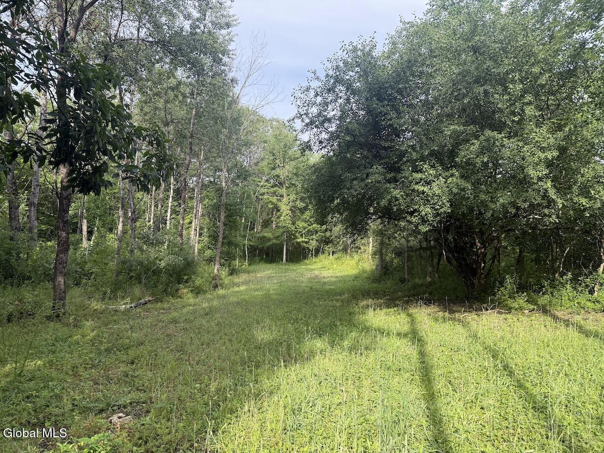 418 Saddlemire Hill Road Carlisle NY 12160