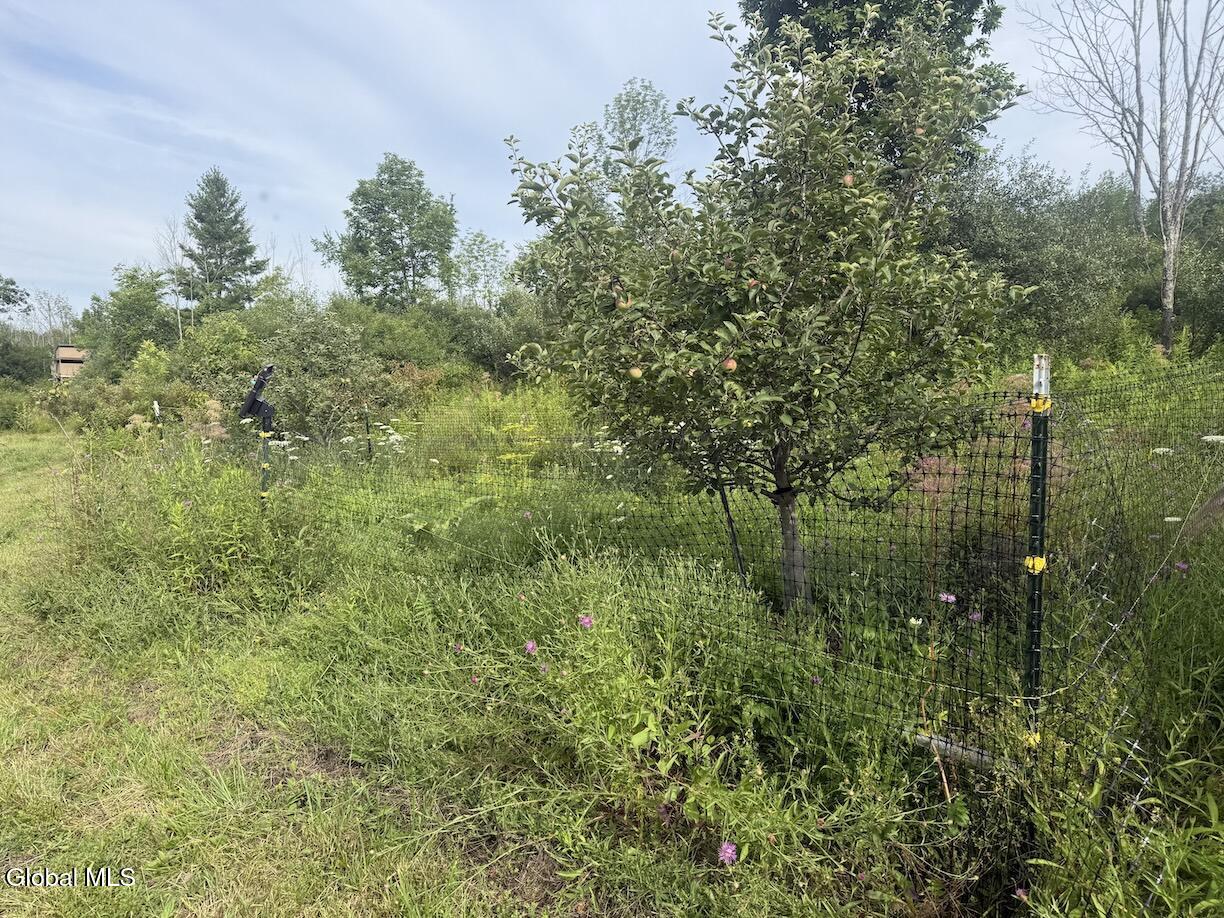 418 Saddlemire Hill Road Carlisle NY 12160