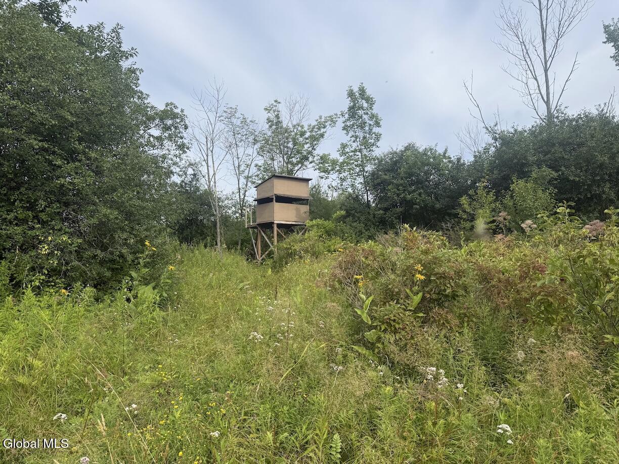 418 Saddlemire Hill Road Carlisle NY 12160