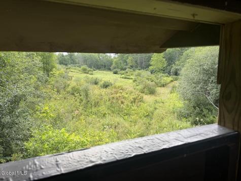 418 Saddlemire Hill Road Carlisle NY 12160