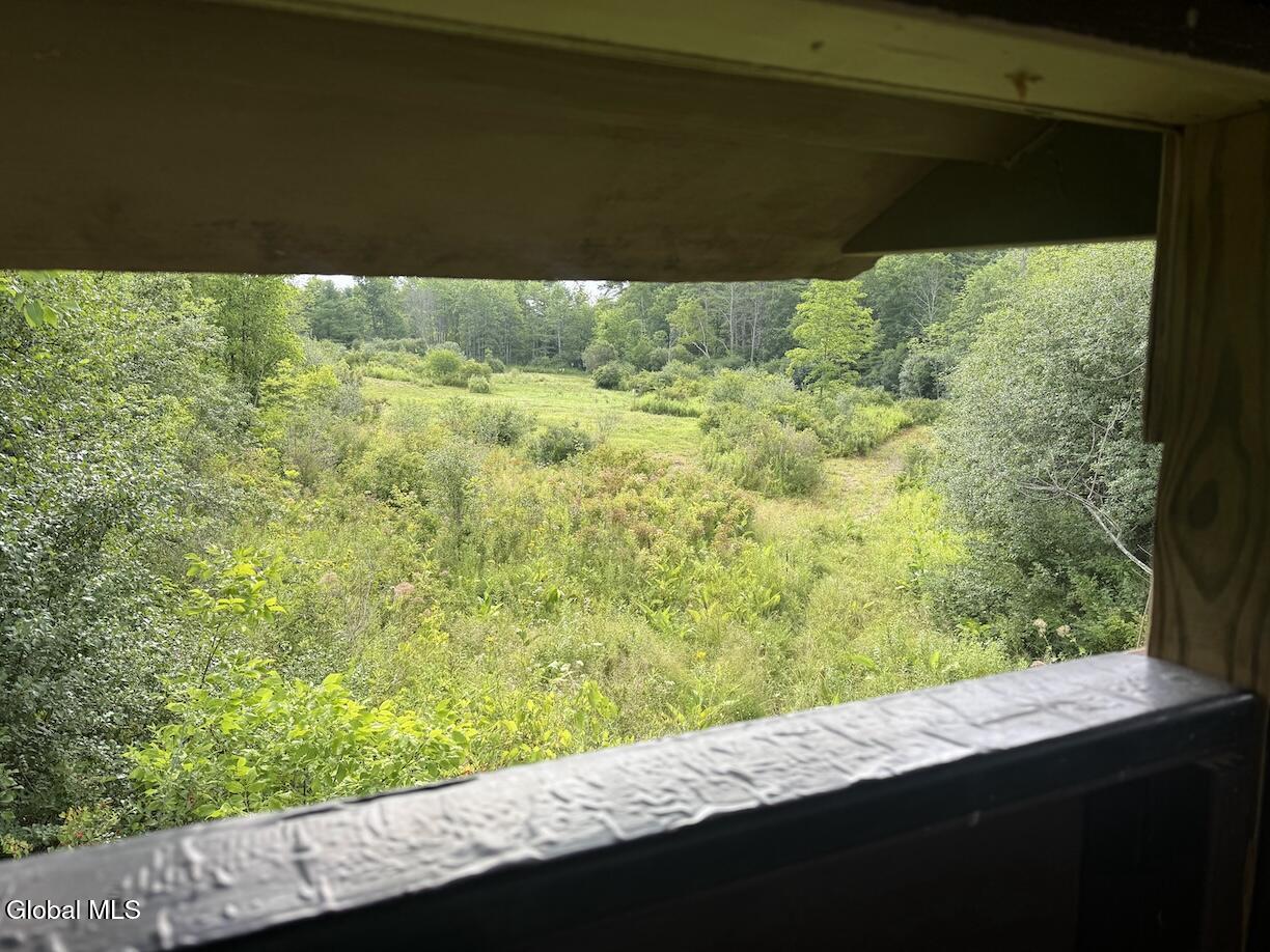 418 Saddlemire Hill Road Carlisle NY 12160