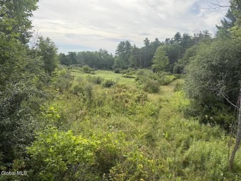 418 Saddlemire Hill Road Carlisle NY 12160