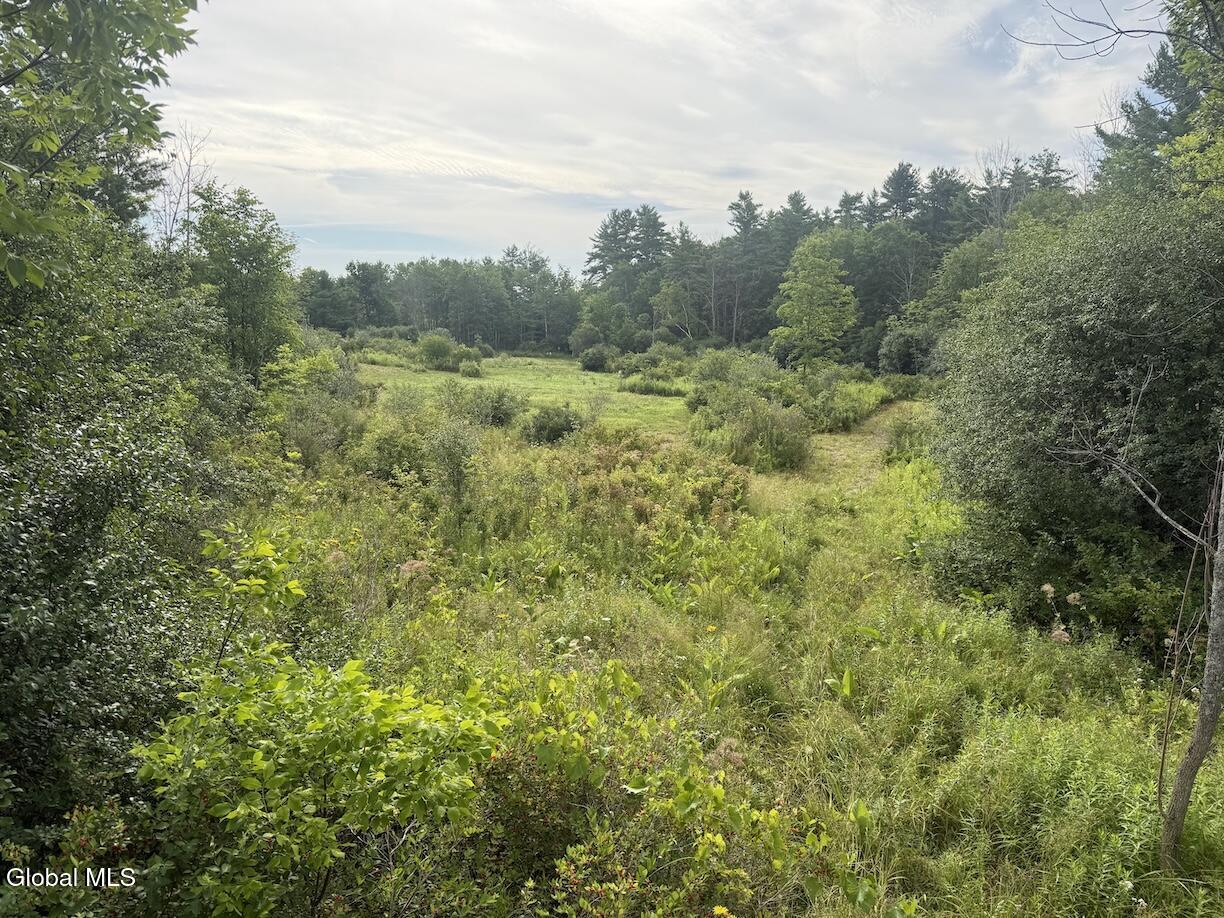418 Saddlemire Hill Road Carlisle NY 12160