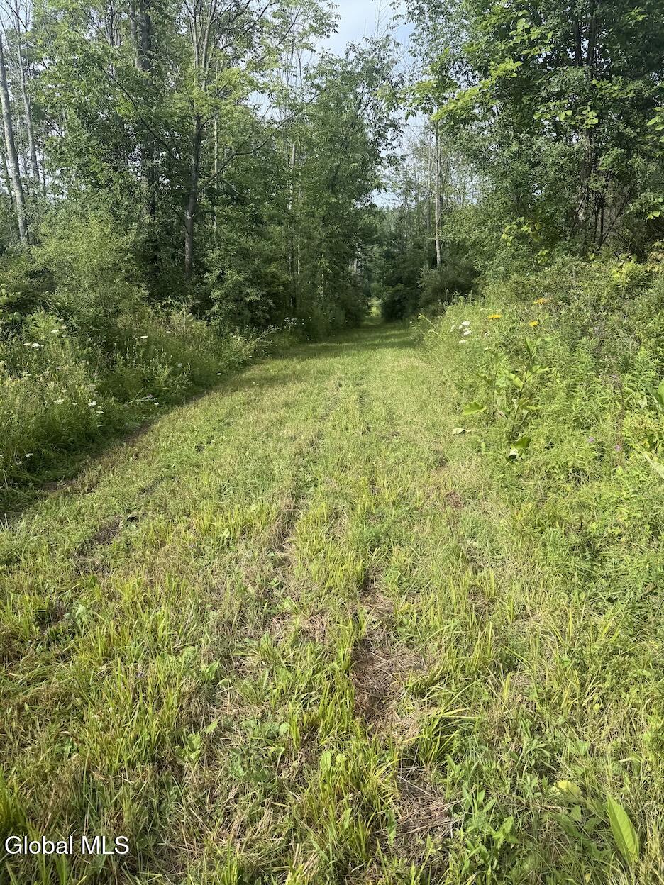 418 Saddlemire Hill Road Carlisle NY 12160