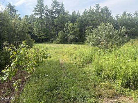 418 Saddlemire Hill Road Carlisle NY 12160