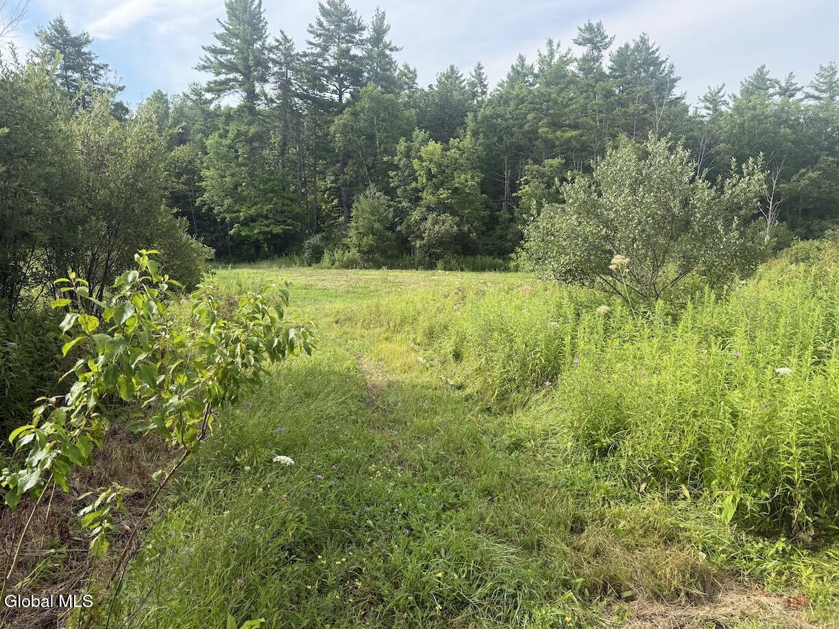 418 Saddlemire Hill Road Carlisle NY 12160