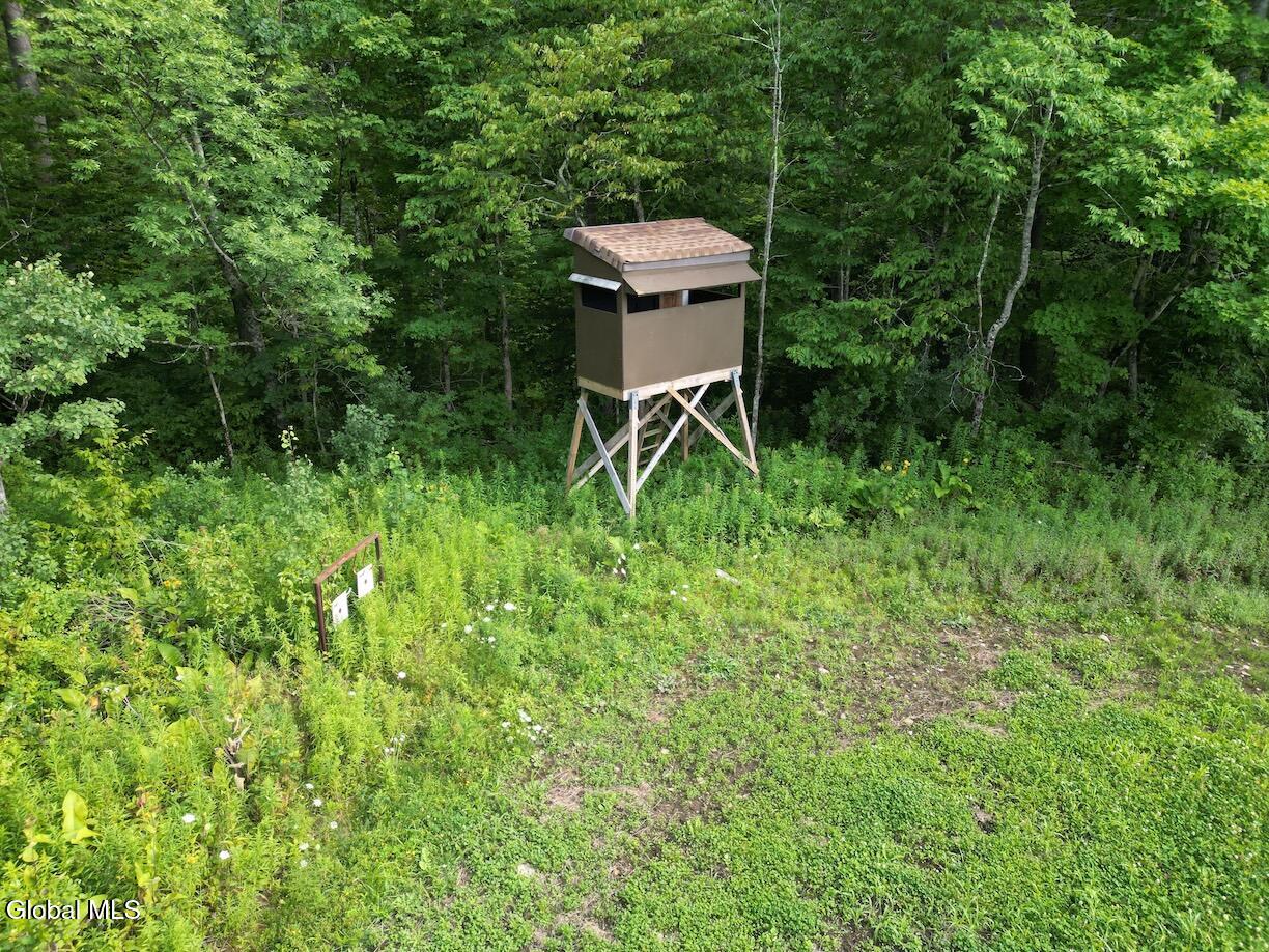 418 Saddlemire Hill Road Carlisle NY 12160