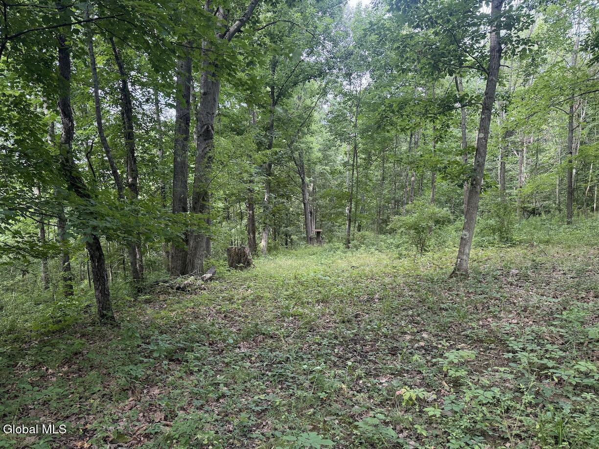 418 Saddlemire Hill Road Carlisle NY 12160