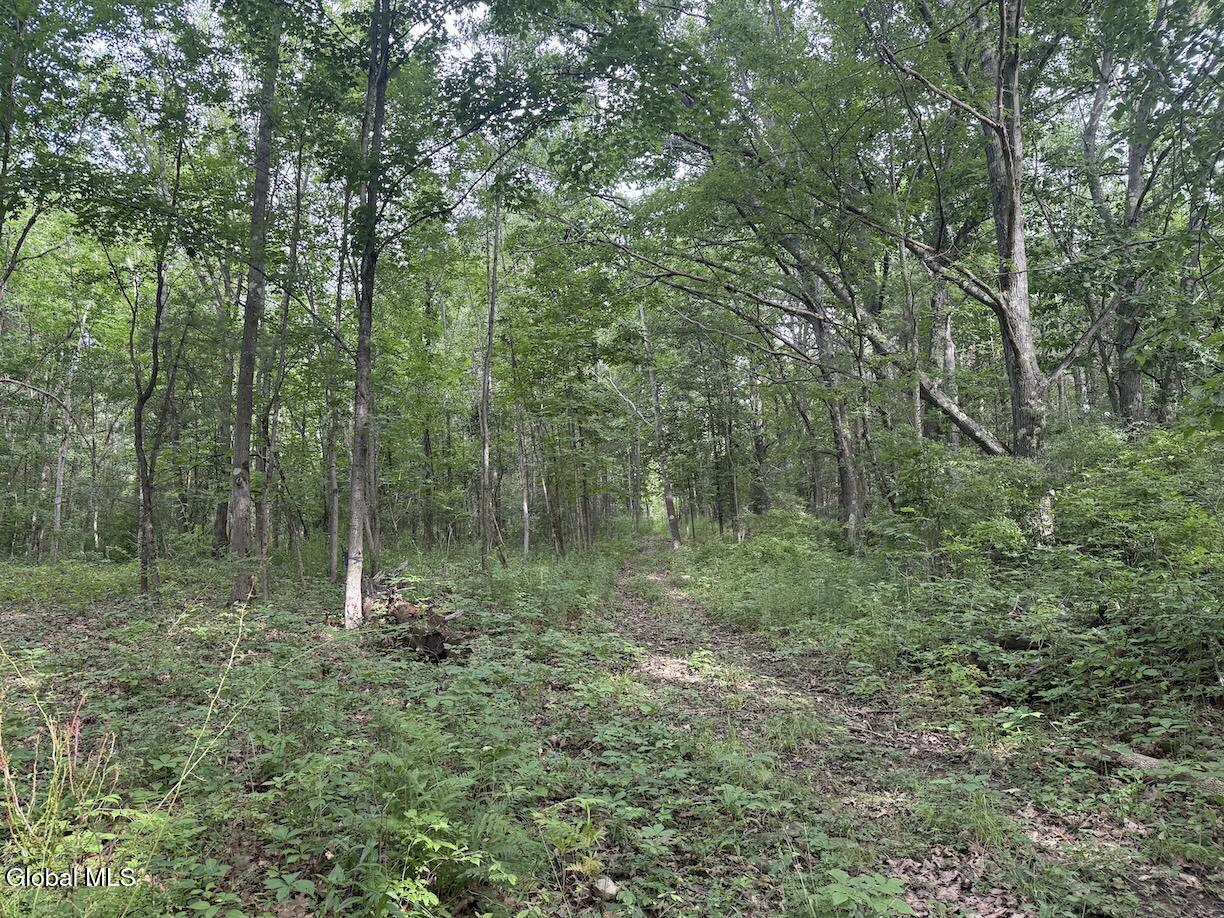 418 Saddlemire Hill Road Carlisle NY 12160