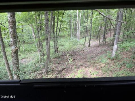 418 Saddlemire Hill Road Carlisle NY 12160