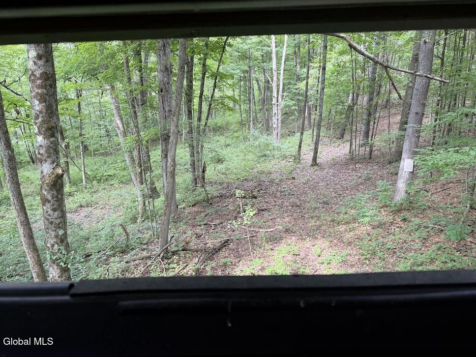 418 Saddlemire Hill Road Carlisle NY 12160