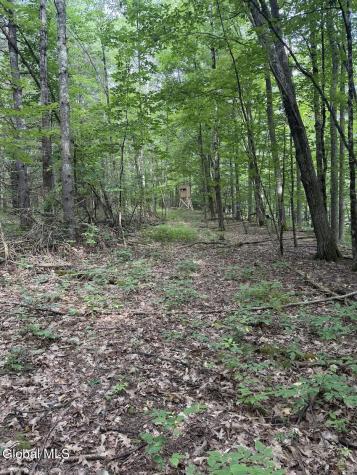 418 Saddlemire Hill Road Carlisle NY 12160