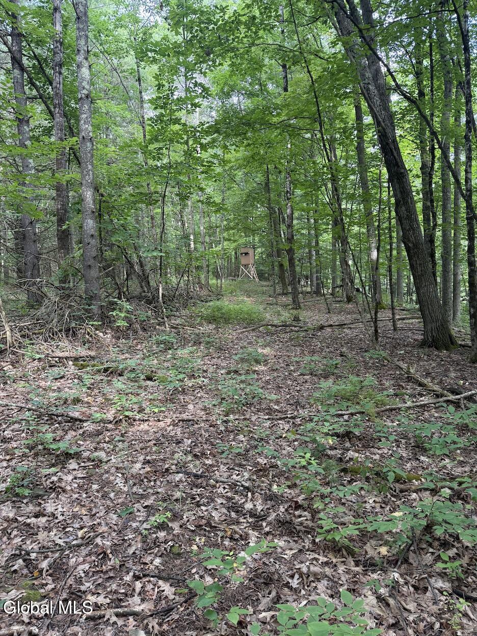 418 Saddlemire Hill Road Carlisle NY 12160