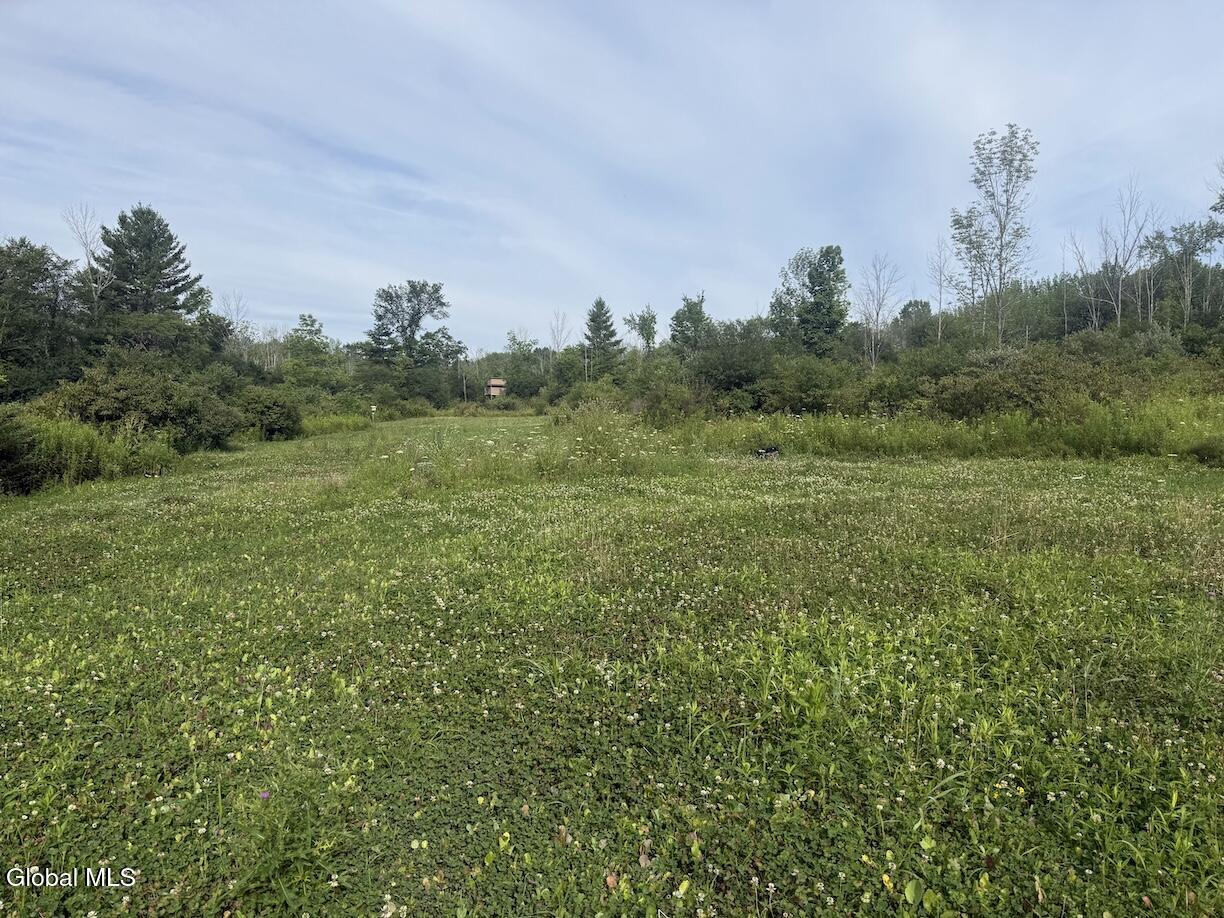 418 Saddlemire Hill Road Carlisle NY 12160