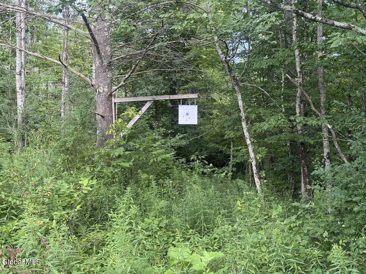 418 Saddlemire Hill Road Carlisle NY 12160