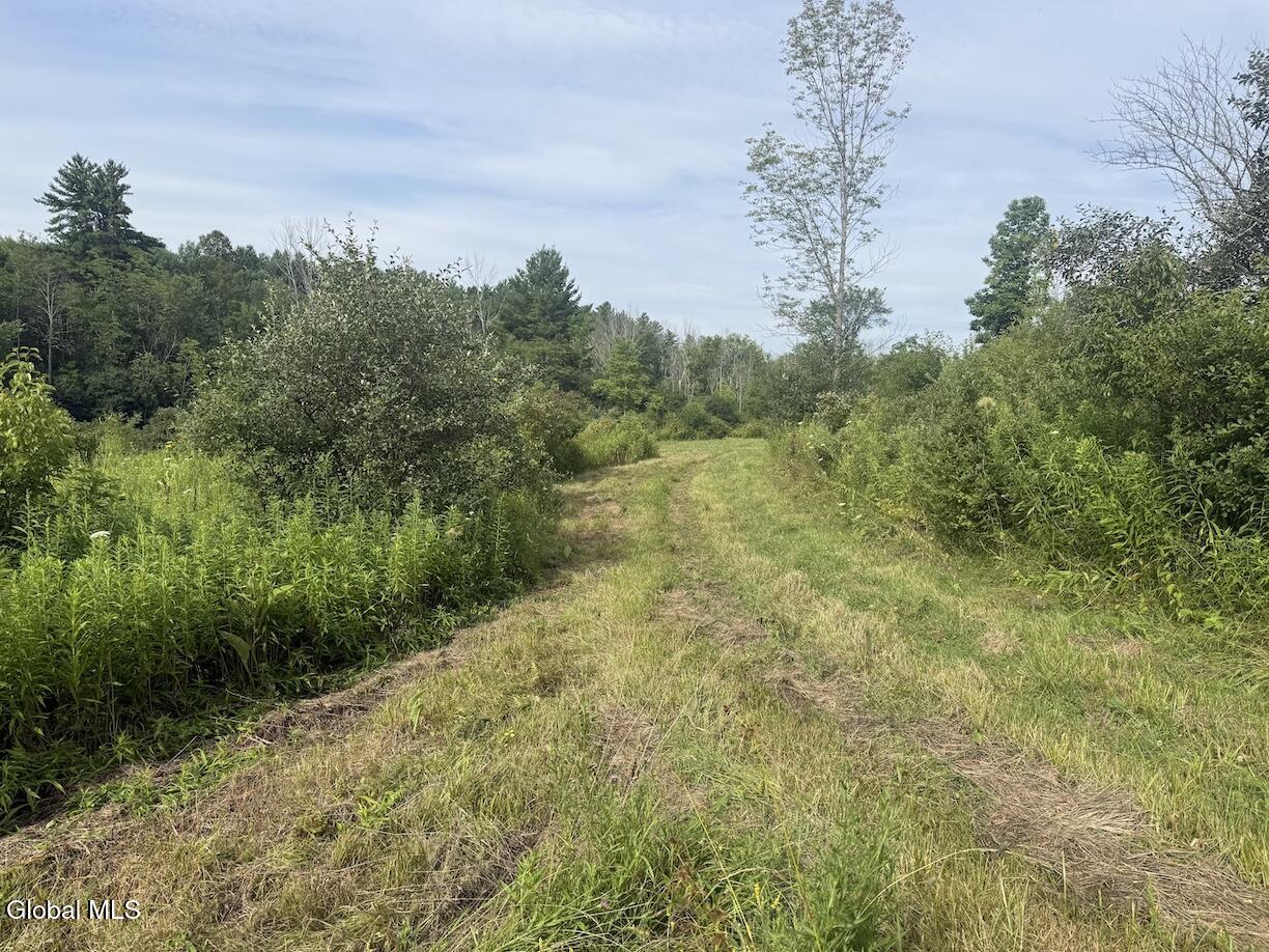 418 Saddlemire Hill Road Carlisle NY 12160