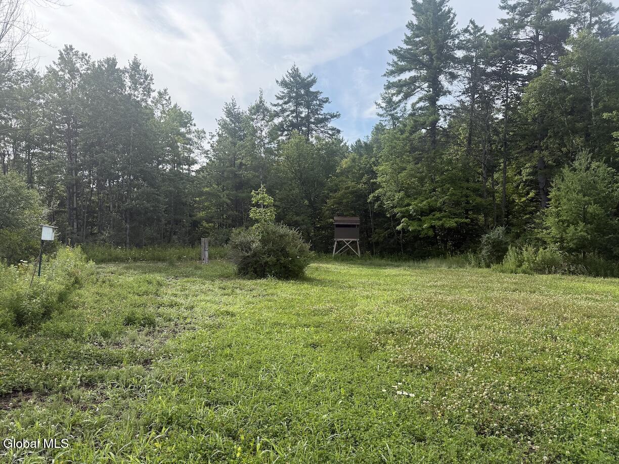 418 Saddlemire Hill Road Carlisle NY 12160
