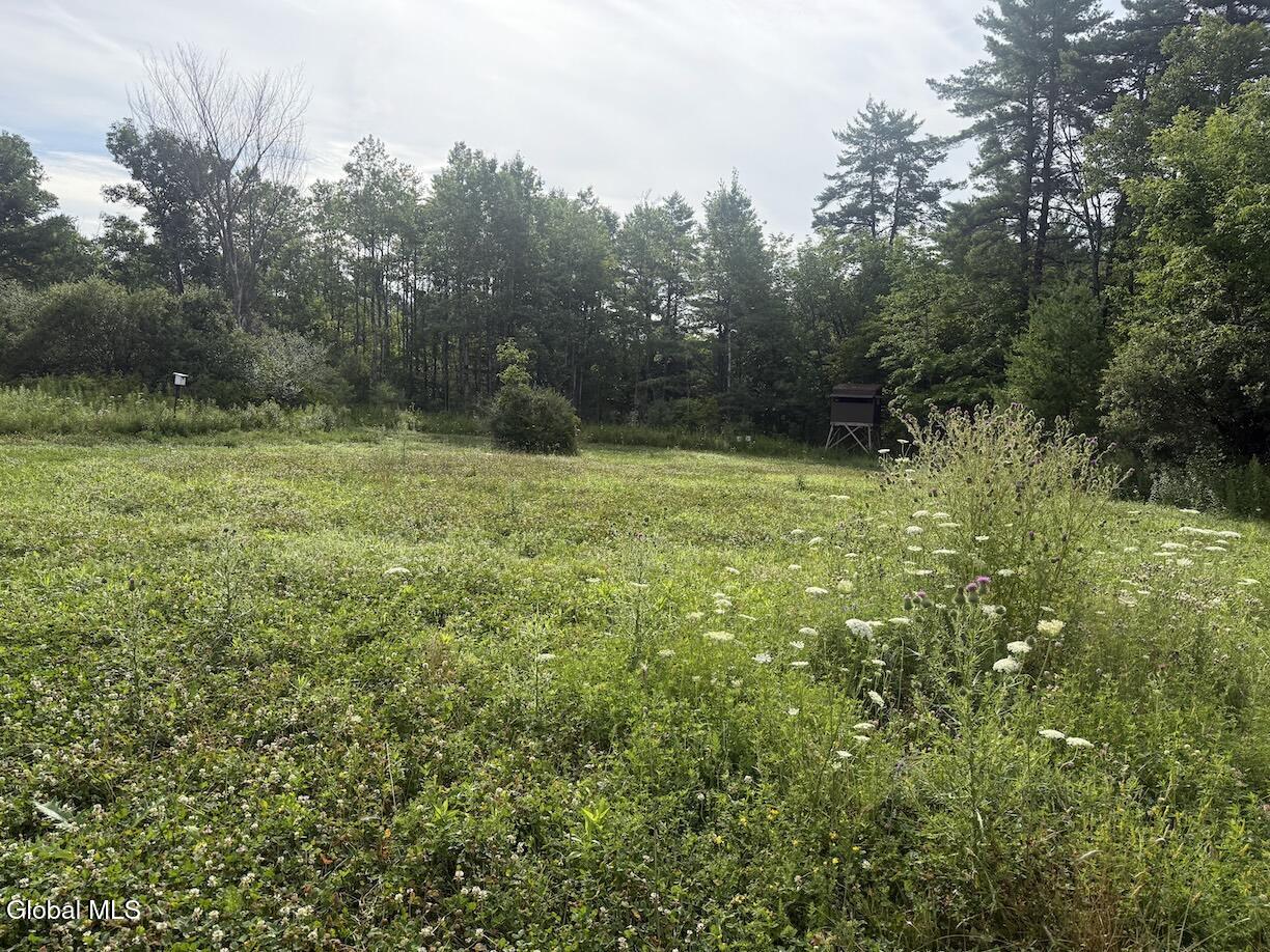 418 Saddlemire Hill Road Carlisle NY 12160