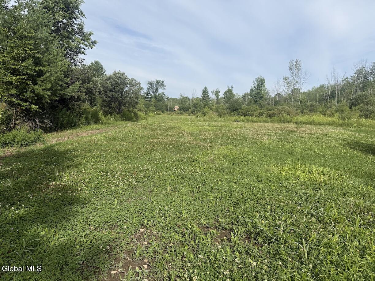 418 Saddlemire Hill Road Carlisle NY 12160