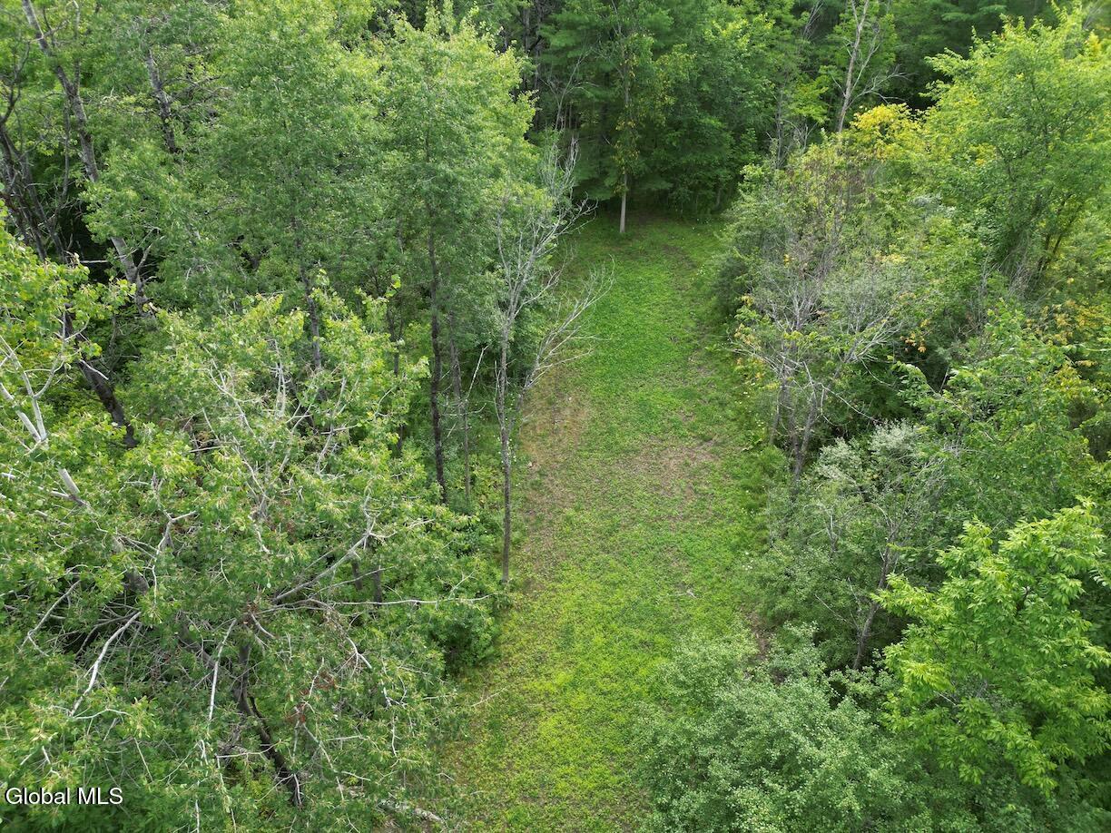 418 Saddlemire Hill Road Carlisle NY 12160