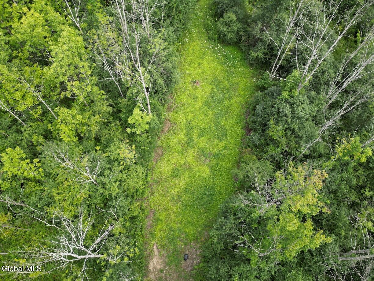 418 Saddlemire Hill Road Carlisle NY 12160
