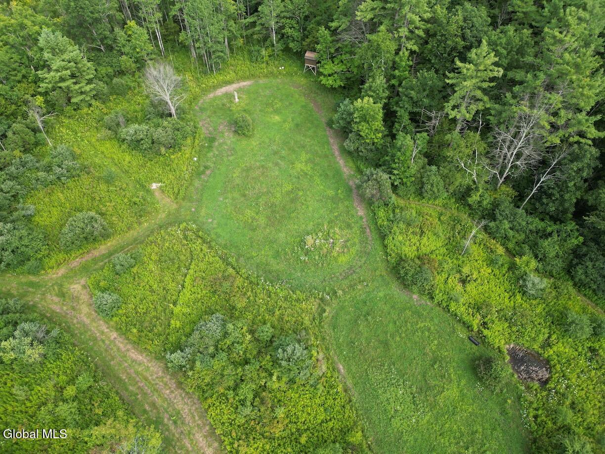 418 Saddlemire Hill Road Carlisle NY 12160