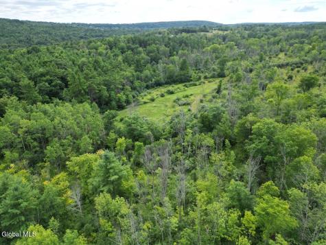 418 Saddlemire Hill Road Carlisle NY 12160