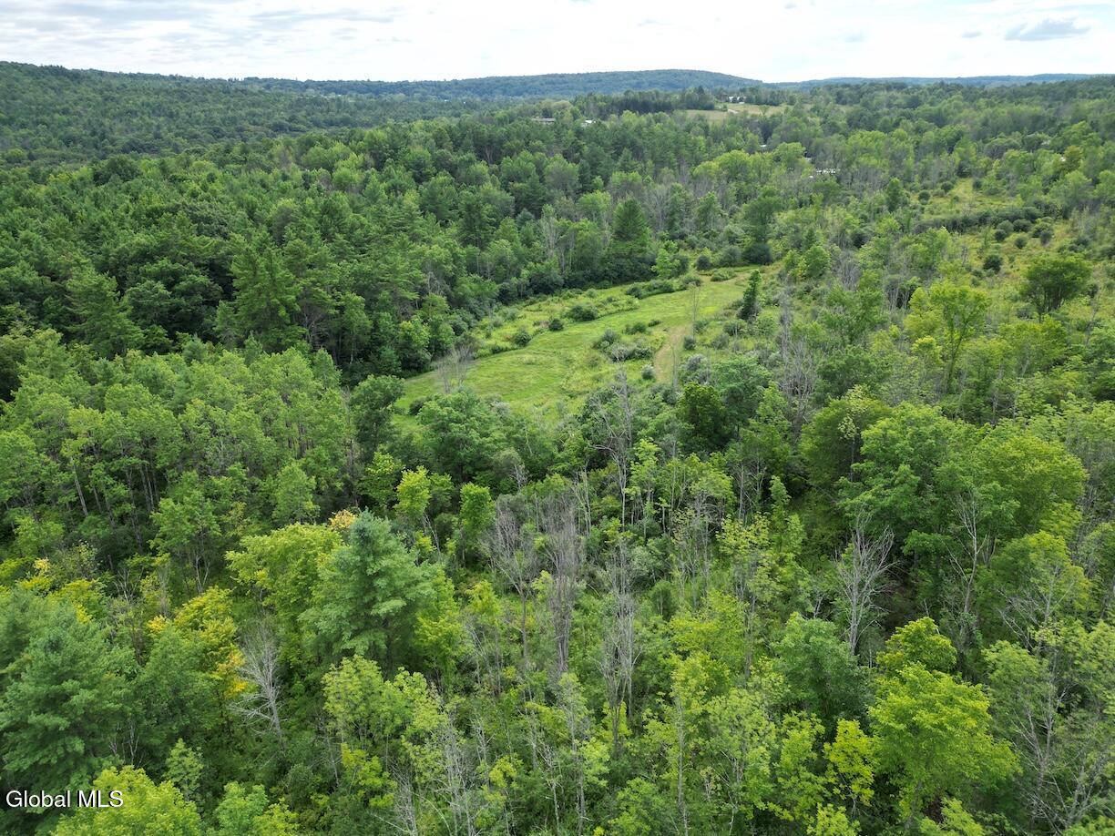 418 Saddlemire Hill Road Carlisle NY 12160