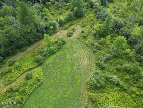 418 Saddlemire Hill Road Carlisle NY 12160