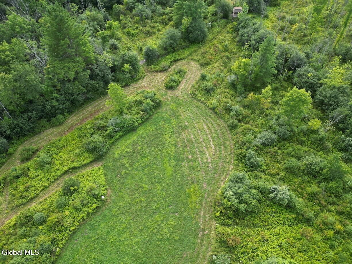 418 Saddlemire Hill Road Carlisle NY 12160